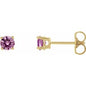 14K Yellow 2.5 mm Natural Pink Sapphire Earrings Ethereal Legacy Boutiques