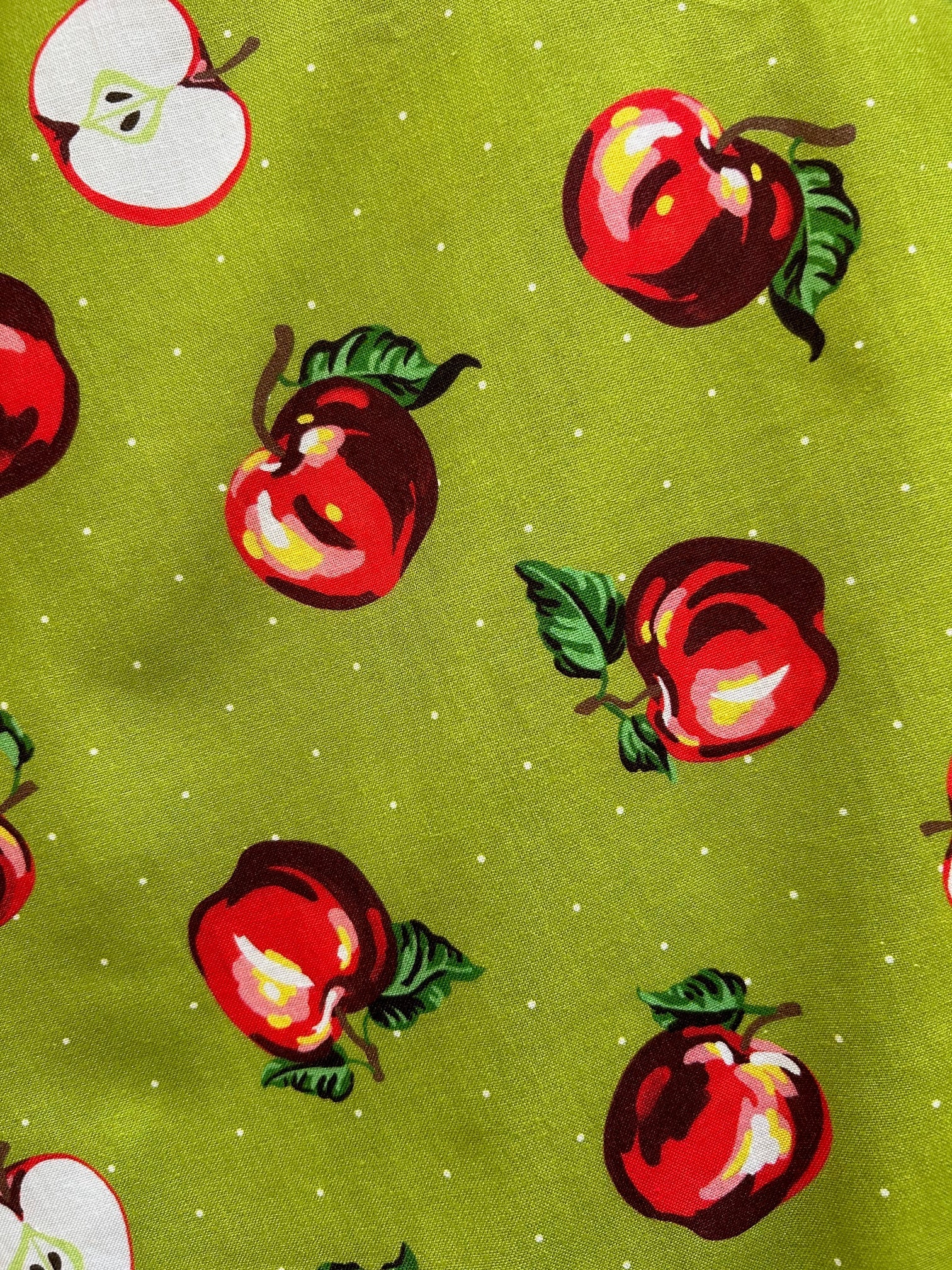 Apples Skater Skirt Retrolicious