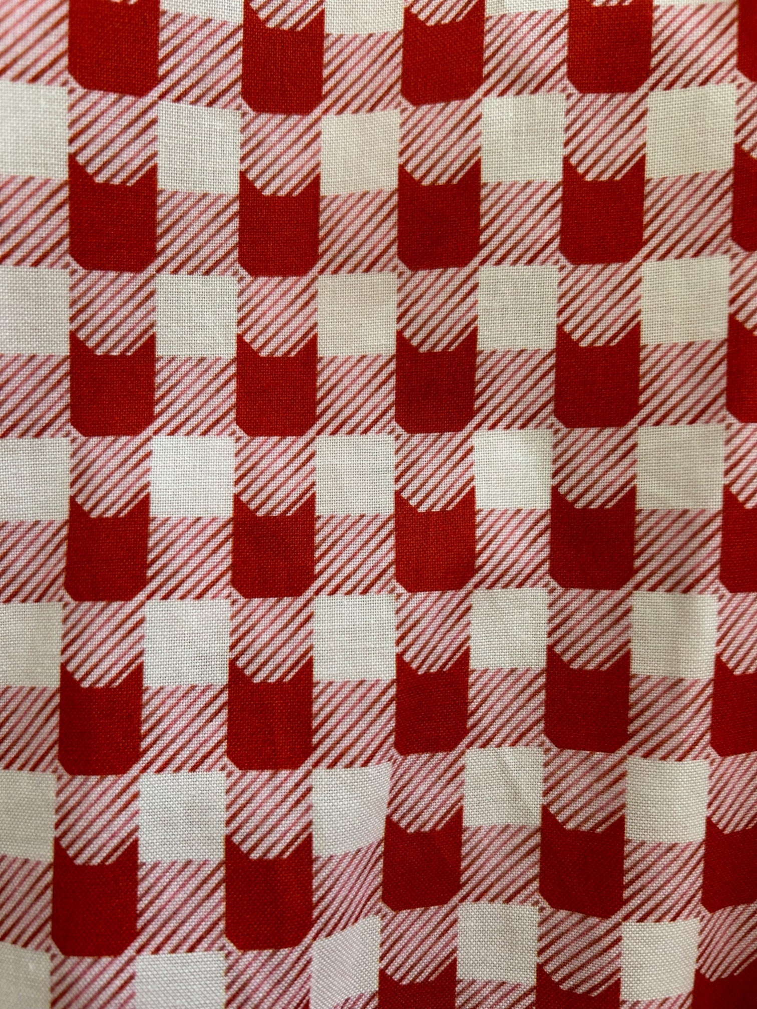 Red Check Kitties Skater Skirt Retrolicious