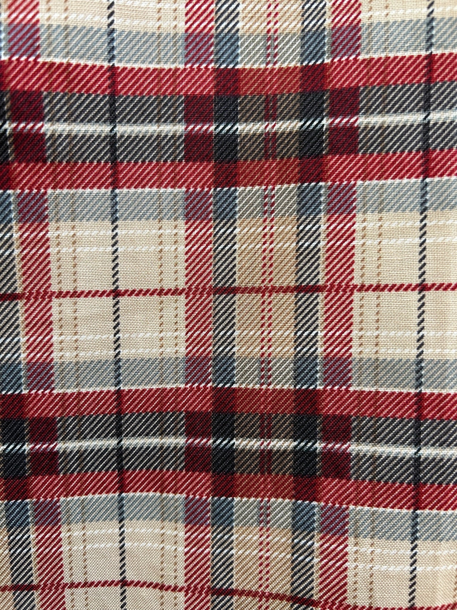 Plaid Skater Skirt Retrolicious