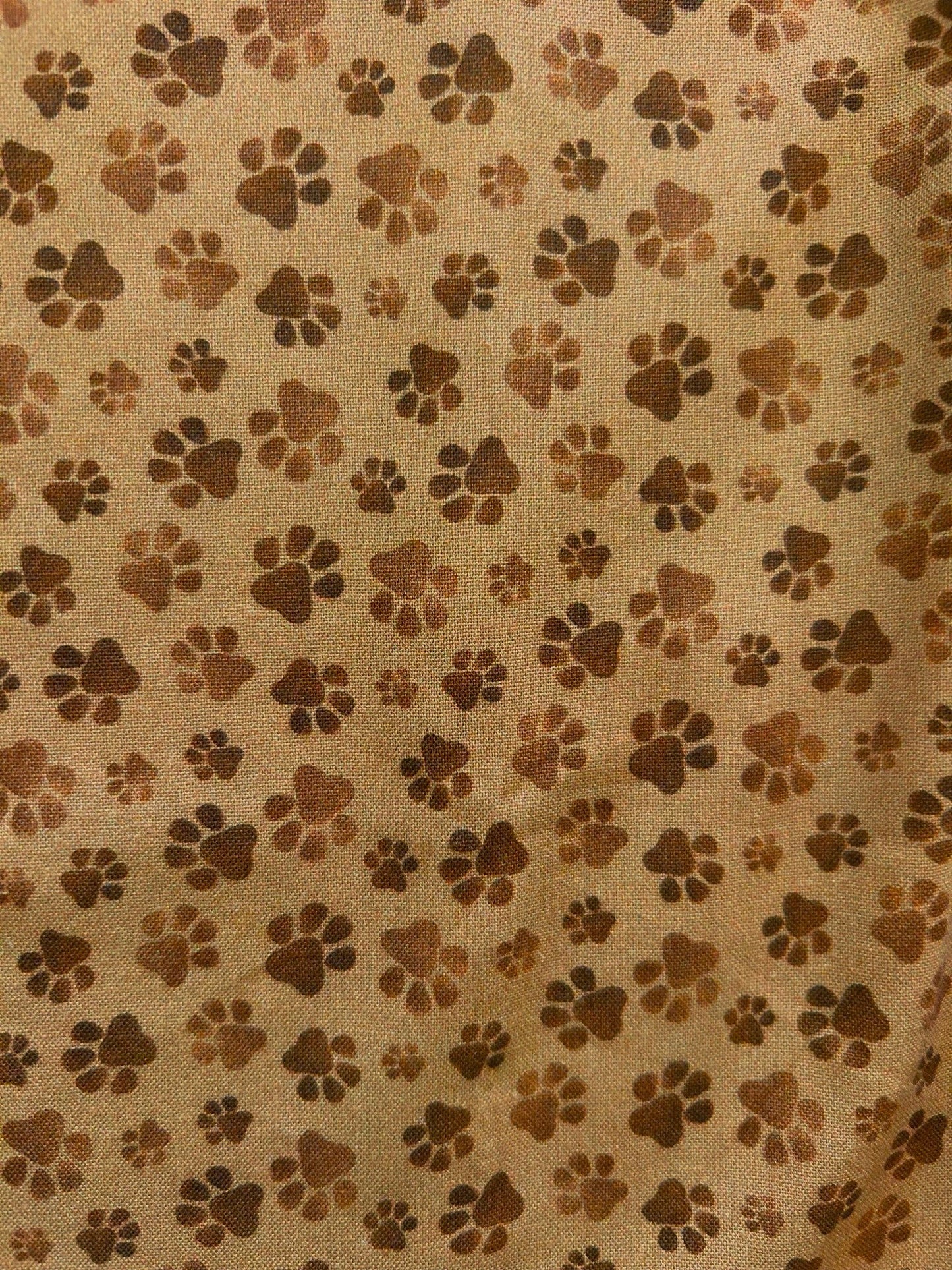 Paw Print Bow Top Retrolicious
