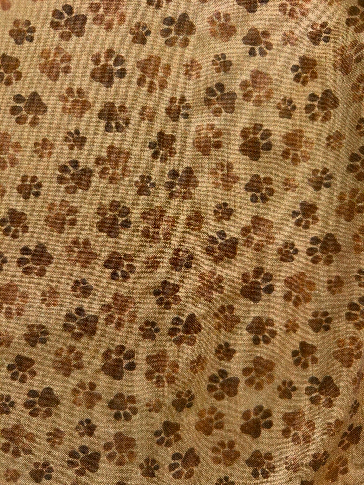 Paw Print Bow Top Retrolicious