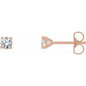 14K Rose 1/3 CTW Lab-Grown Diamond 4-Prong Stud Earrings Ethereal Legacy Boutiques