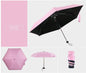 Pocket Umbrella