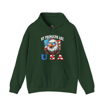 My Pronouns Are U.S.A Hooded Sweatshirt The Devil's Pickle
