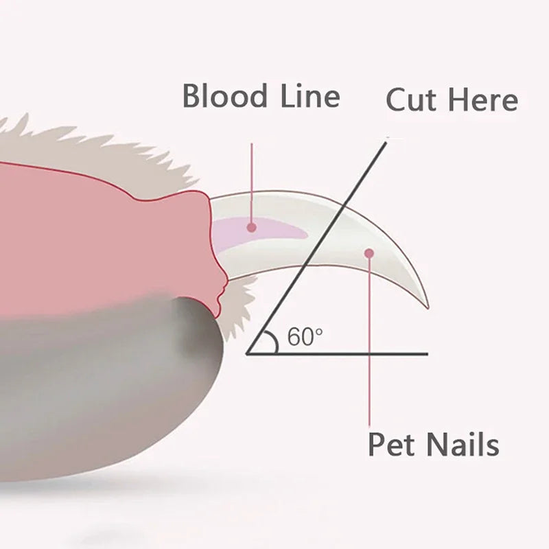 Pet Nail Clipper with Led Light ViralGalleria.com