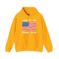 This Is My Pride Flag Hooded Sweatshirt The Devil's Pickle