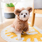 Pet Warm Teddy Bear Costume, Dog & Cat Pet Costumes NovaCart