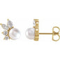 14K Yellow Cultured White Akoya Pearl & 1/2 CTW Natural Diamond Earrings Ethereal Legacy Boutiques