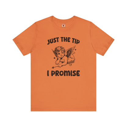 Just The Tip I Promise V-Day T-Shirt