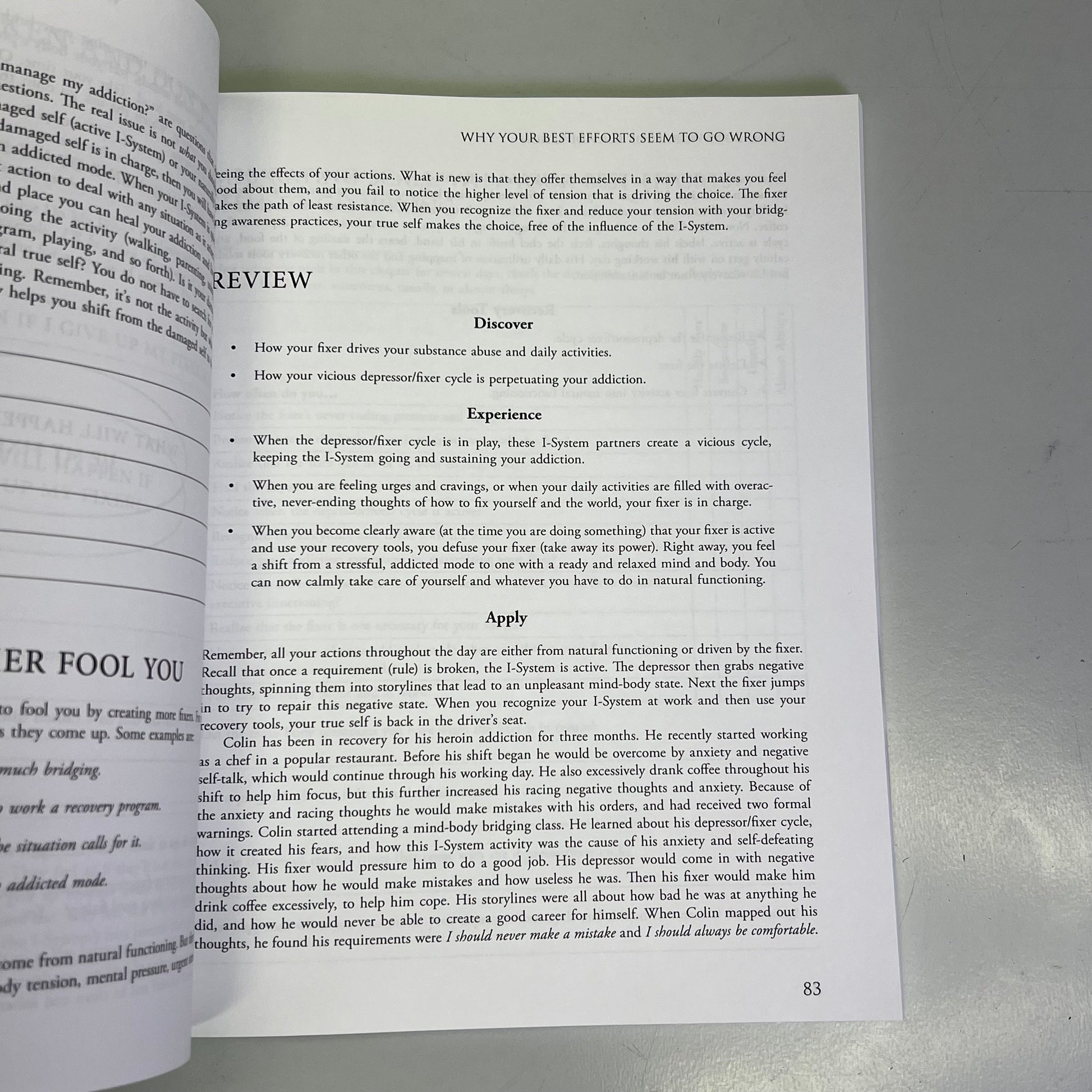 MIND-BODY WORKBOOK FOR ADDICTION Effective Tools Substance Abuse Recovery Book PayWut
