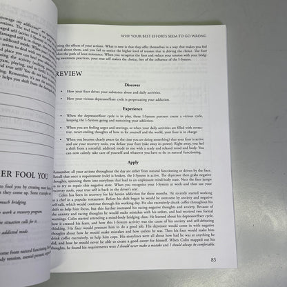 MIND-BODY WORKBOOK FOR ADDICTION Effective Tools Substance Abuse Recovery Book PayWut
