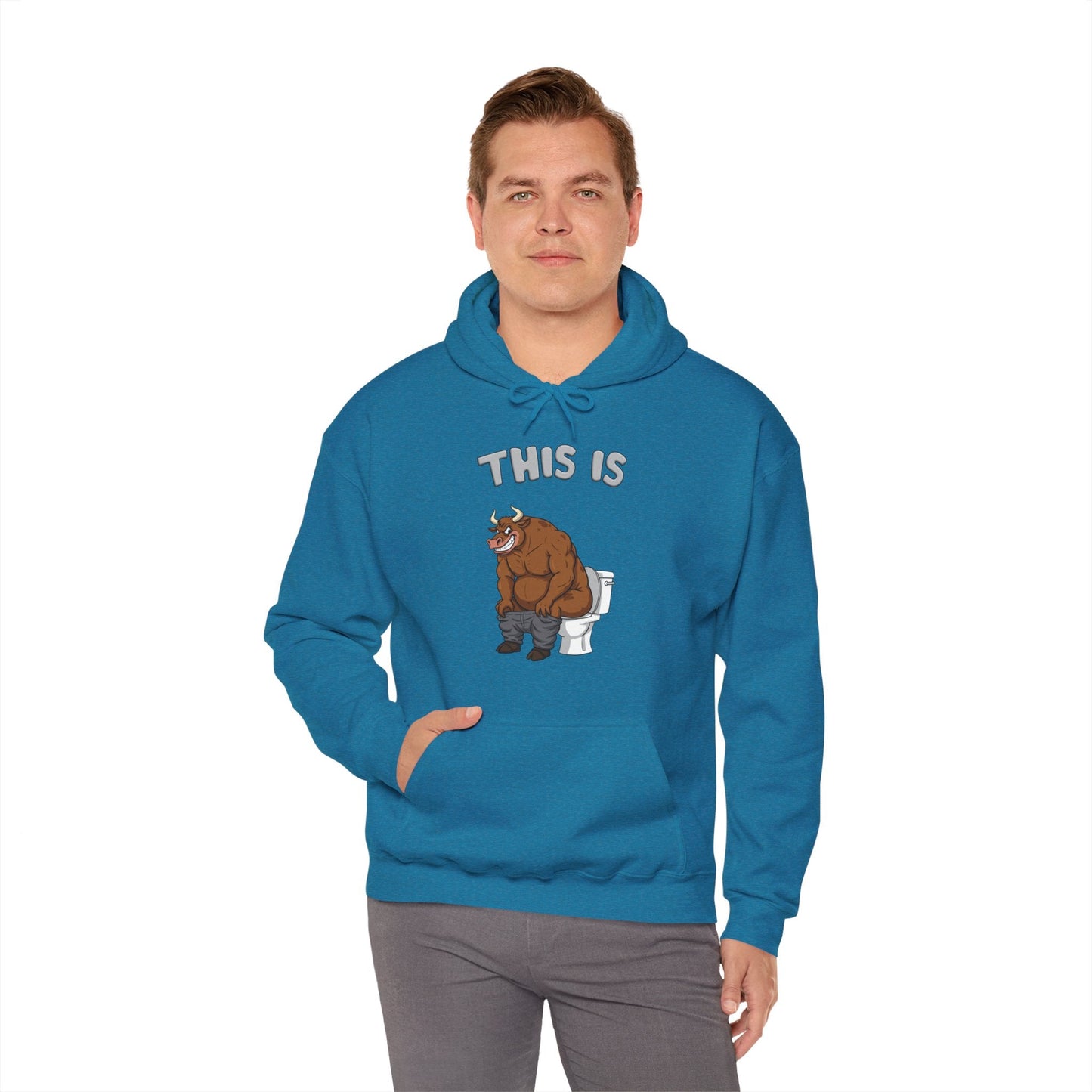 This Is Bullshit Hooded Sweatshirt The Devil's Pickle