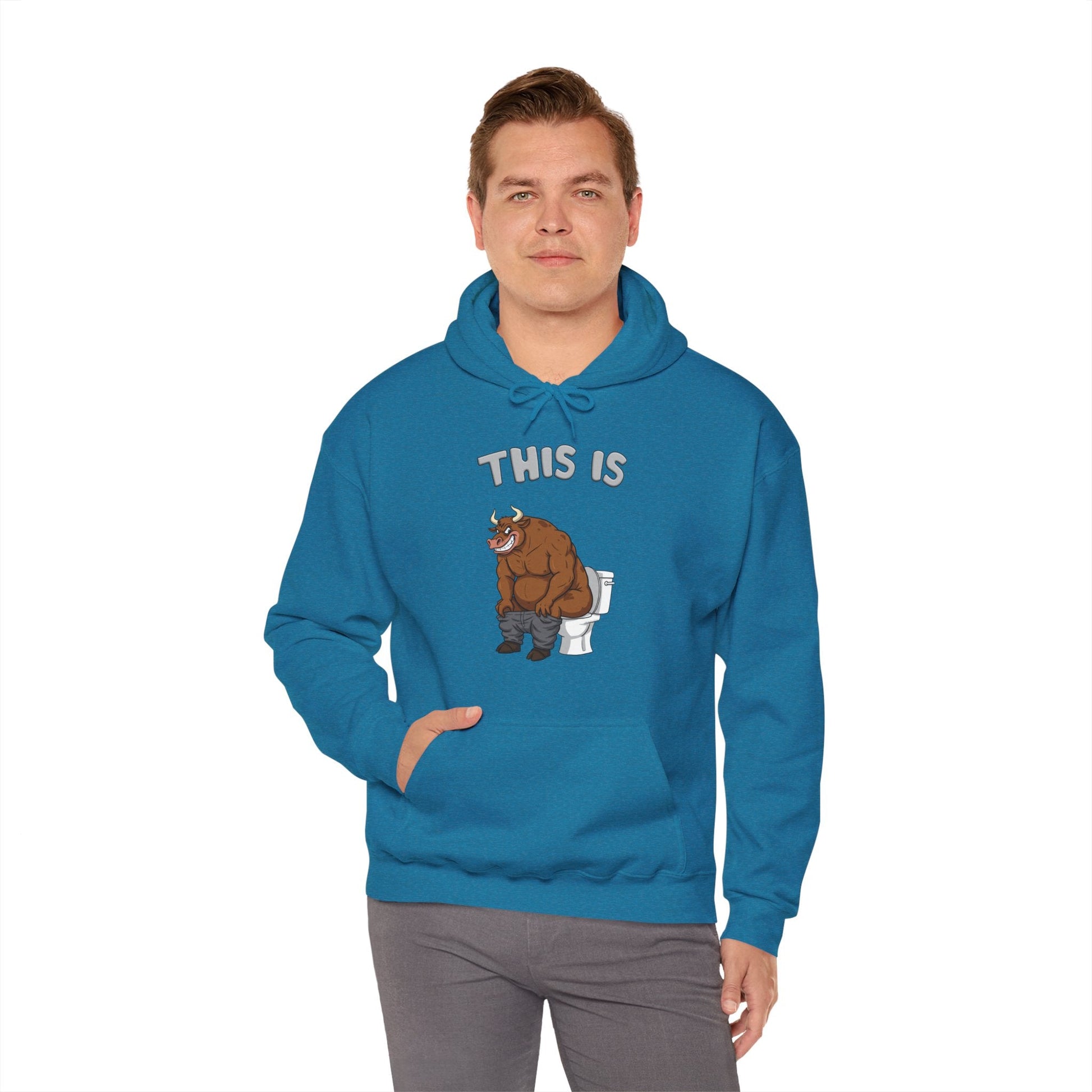 This Is Bullshit Hooded Sweatshirt The Devil's Pickle