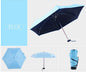 Pocket Umbrella