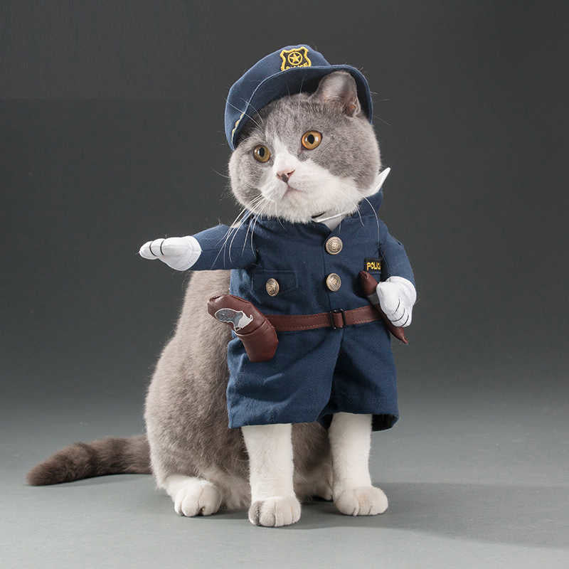 Funny Pets Costum ViralGalleria.com