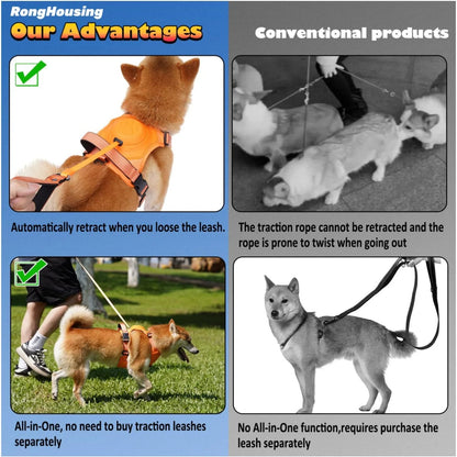 Dog Harness and Automatic Retractable Leash Kit ViralGalleria.com
