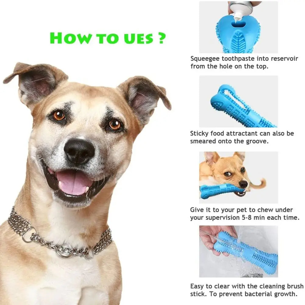 Soft Rubber Dog Toothbrush ViralGalleria.com