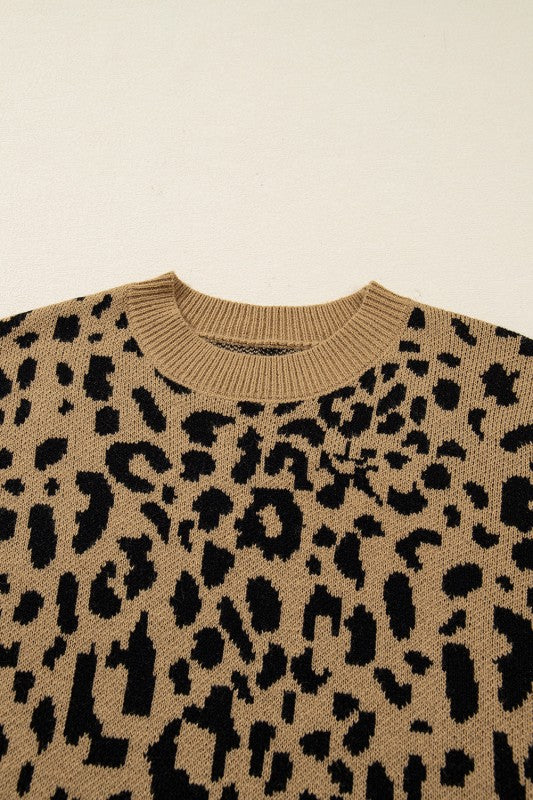 Leopard Ribbed Trim Crewneck Drop Shoulder Sweater Shop Style & More | Fresh Looks, Everyday Deals & Free Shipping