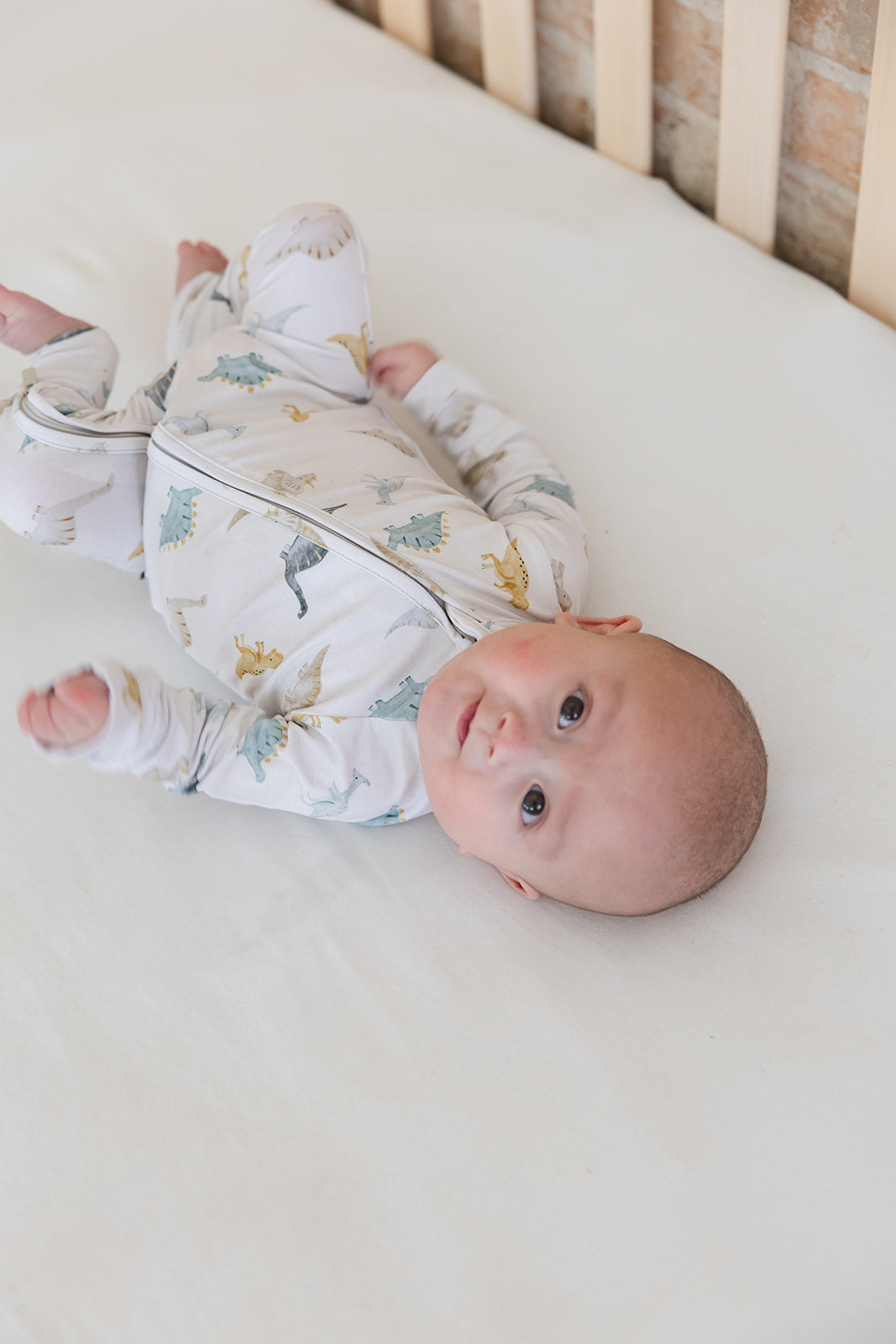 Beckett - Zippy Blush Lotus