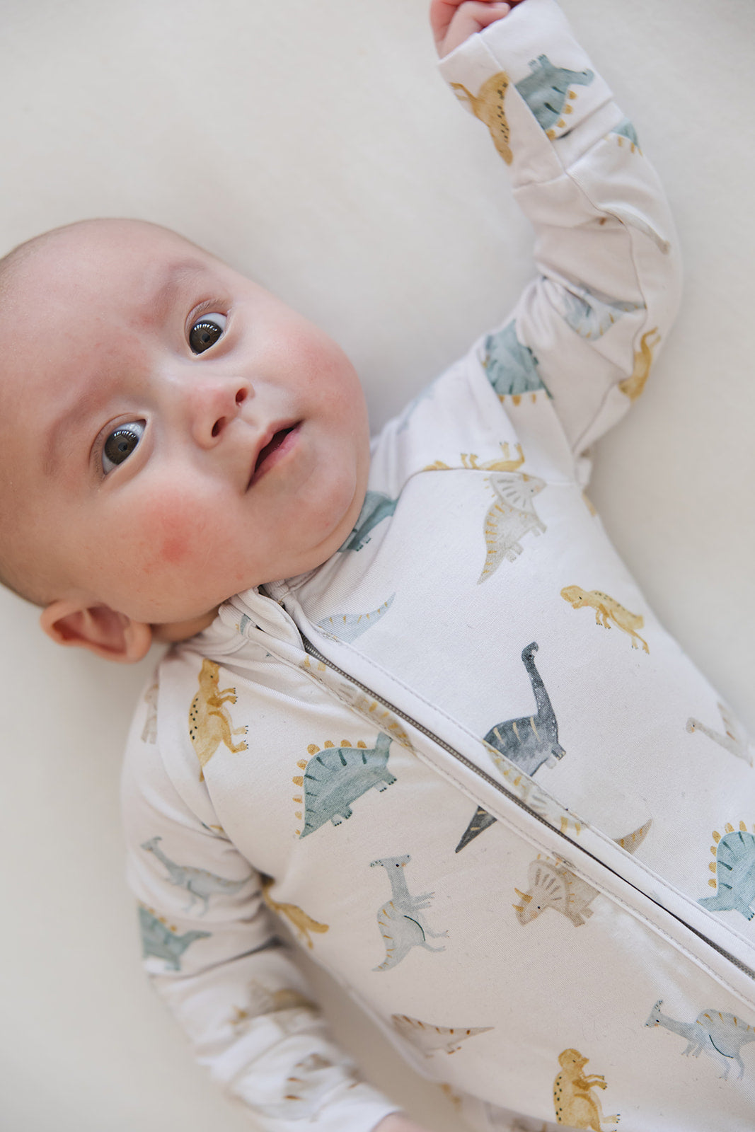 Beckett - Zippy Blush Lotus