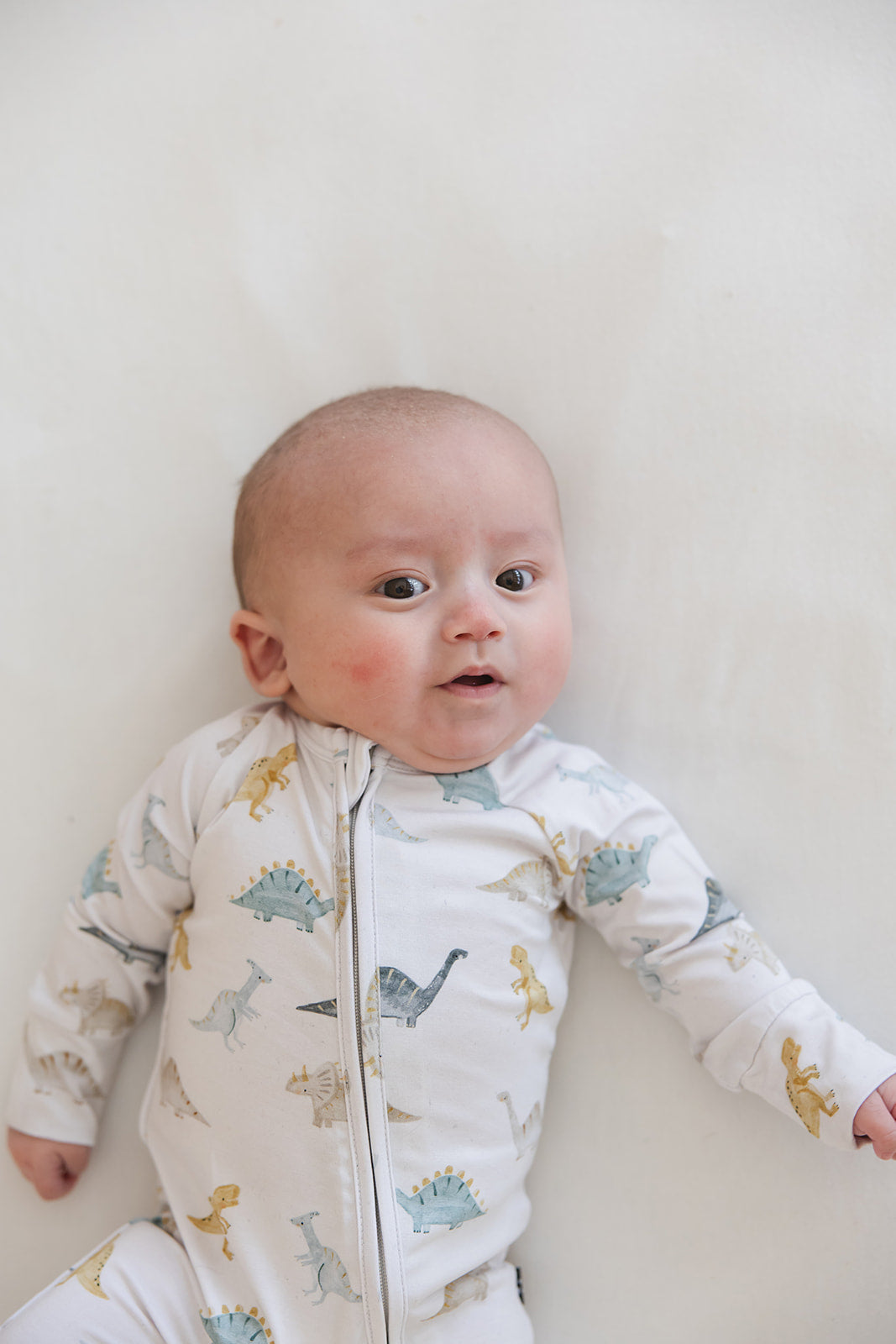 Beckett - Zippy Blush Lotus