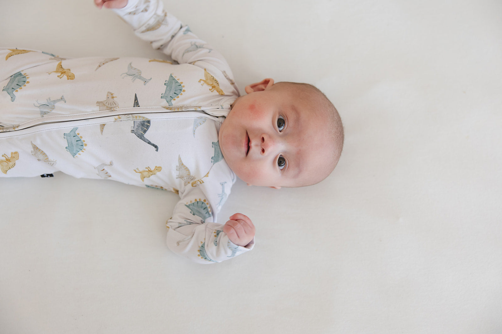 Beckett - Zippy Blush Lotus