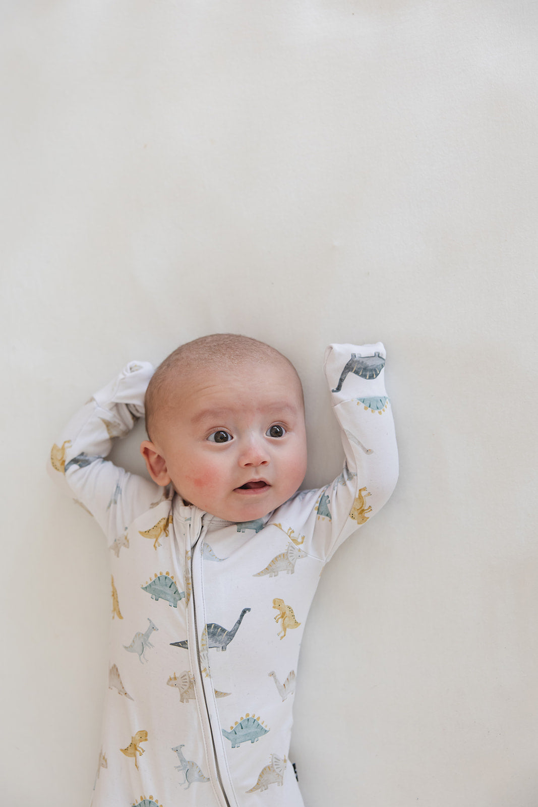 Beckett - Zippy Blush Lotus