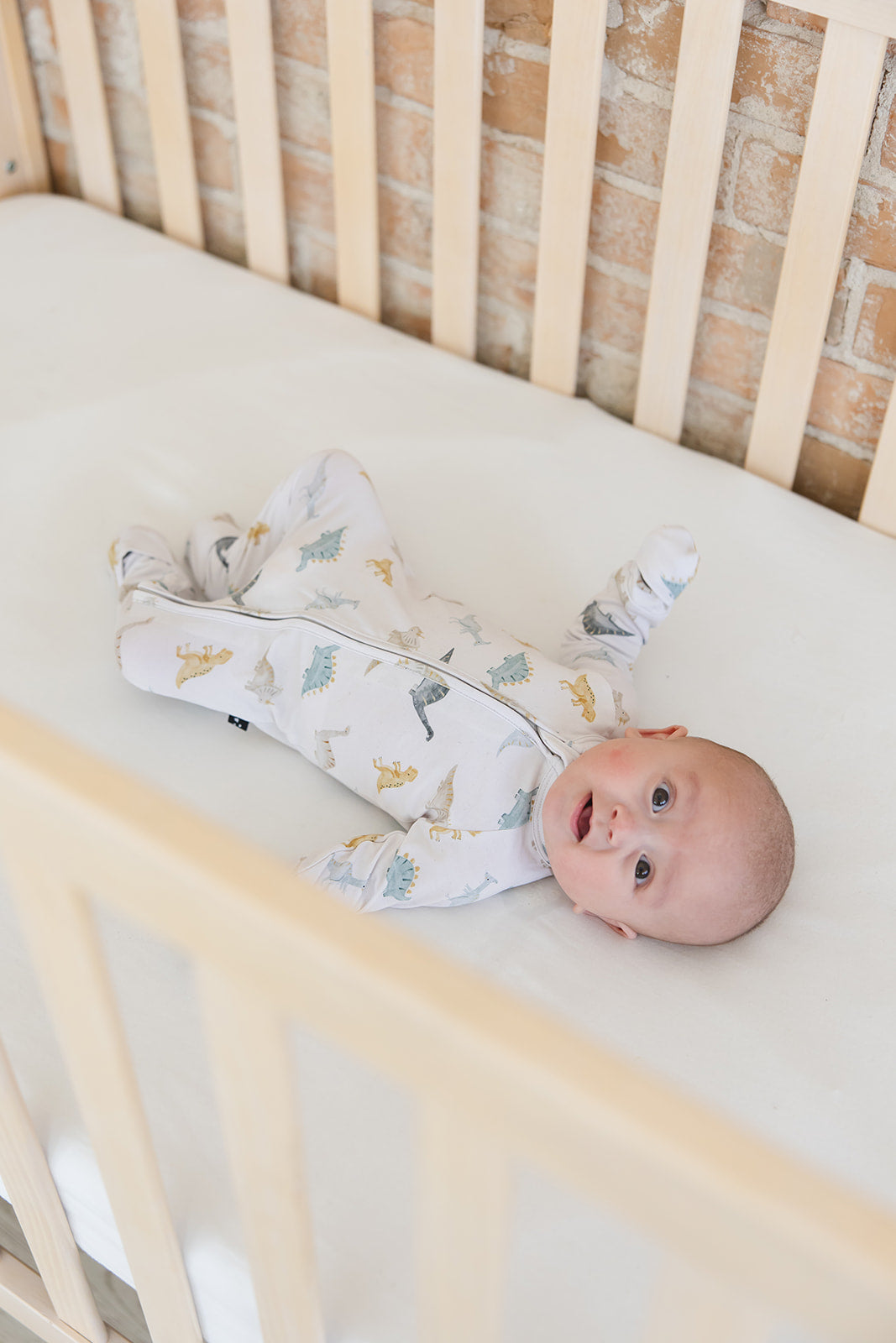 Beckett - Zippy Blush Lotus
