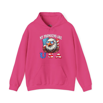 My Pronouns Are U.S.A Hooded Sweatshirt The Devil's Pickle