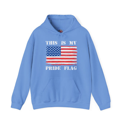 This Is My Pride Flag Hooded Sweatshirt The Devil's Pickle