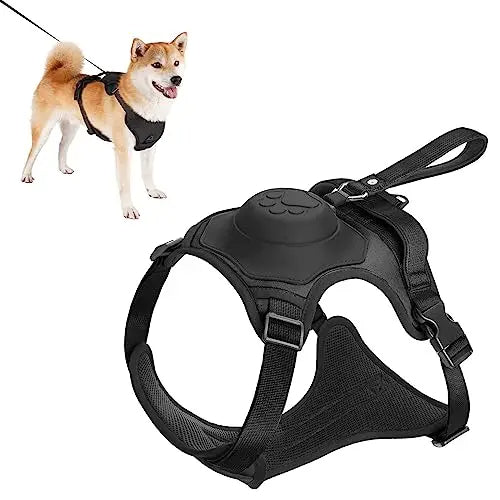 Dog Harness and Automatic Retractable Leash Kit ViralGalleria.com