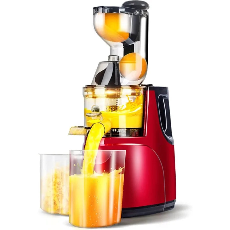 Masticating Juicer Machine ViralGalleria.com
