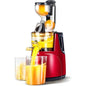 Masticating Juicer Machine ViralGalleria.com