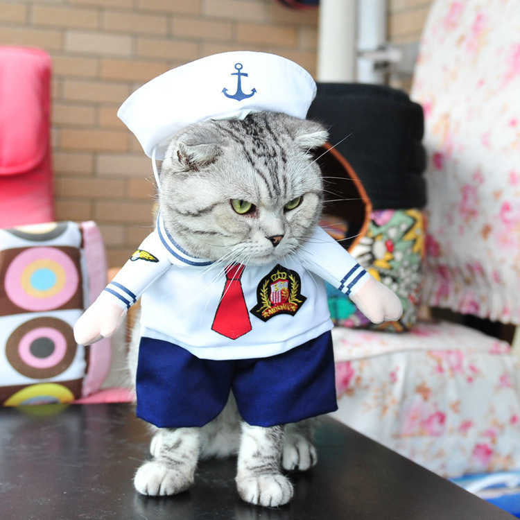 Funny Pets Costum ViralGalleria.com