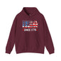 USA Since 1776 Hooded Sweatshirt The Devil's Pickle