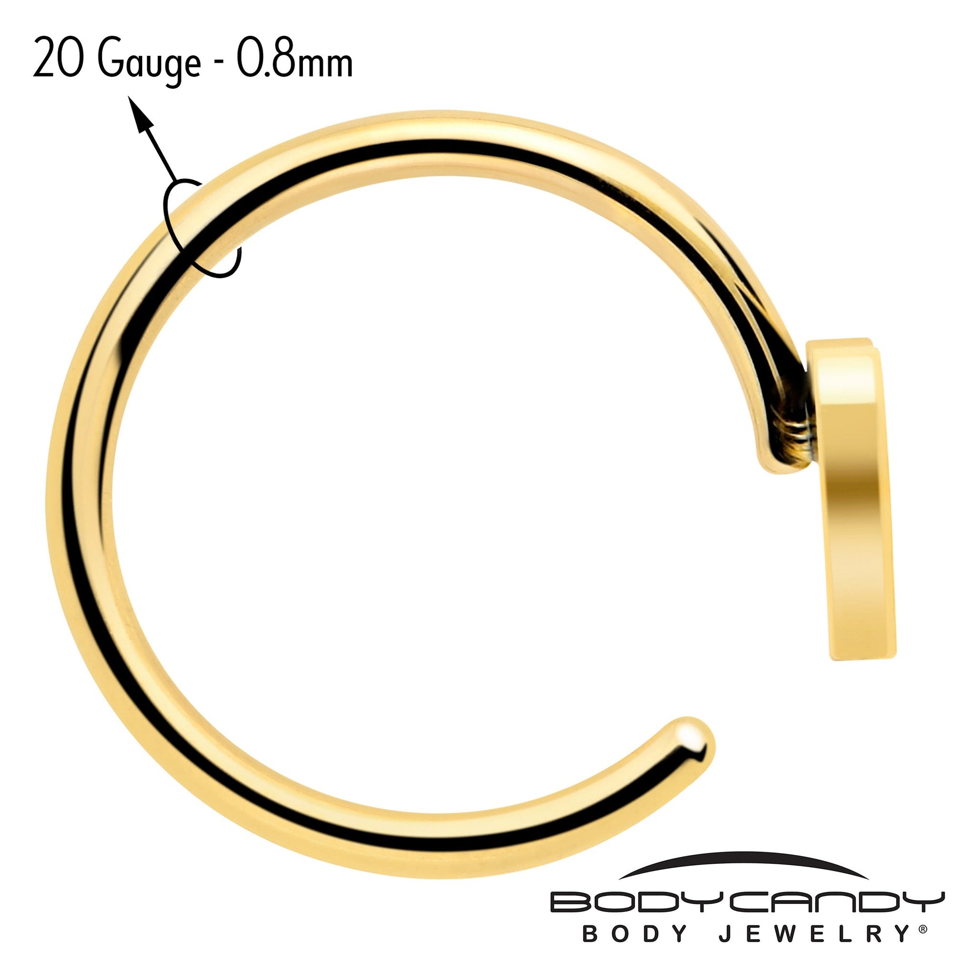 20G Gold Tone Implant Grade Titanium Heart Open Hoop Earring Set BodyCandy