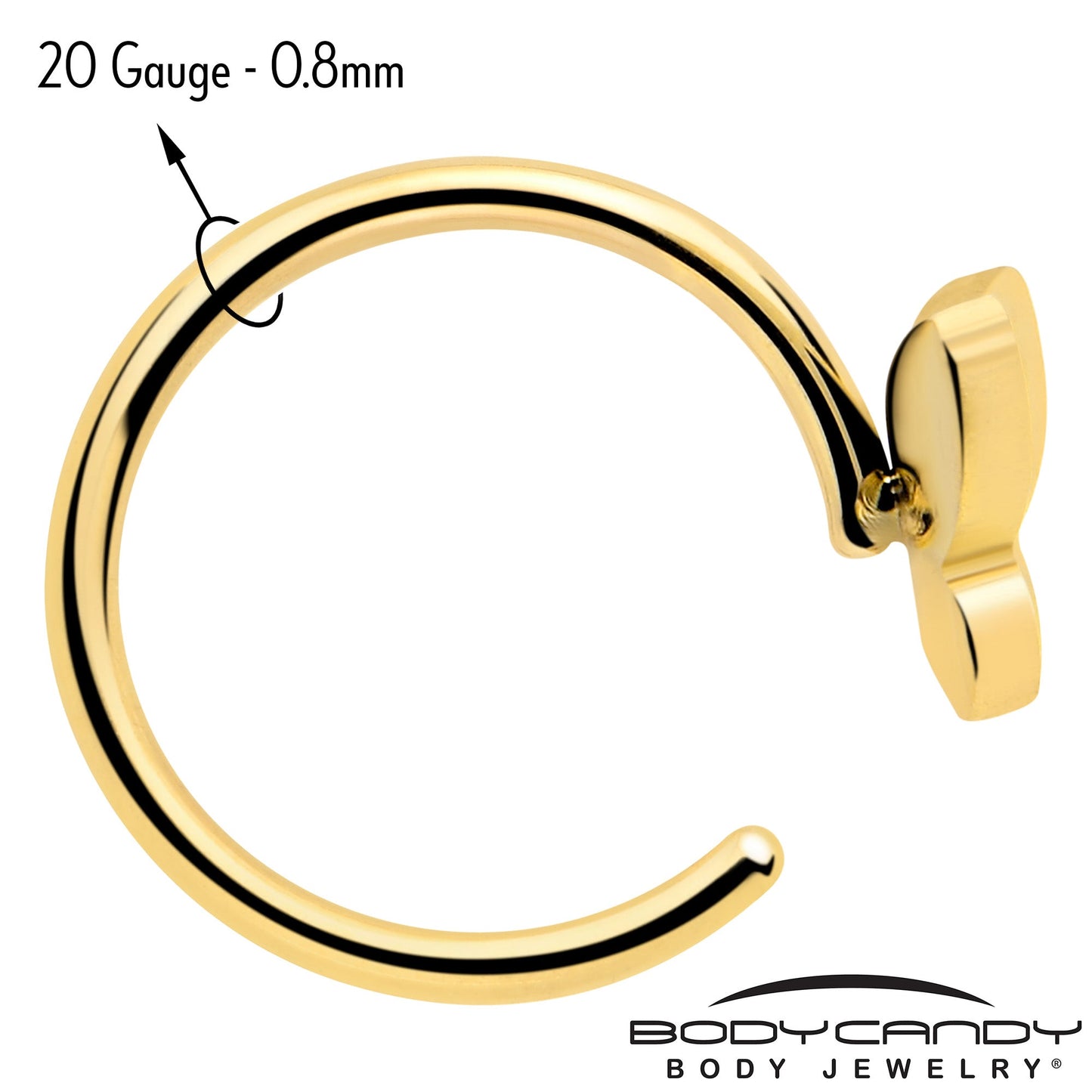 20G Gold Tone Implant Grade Titanium Butterfly Open Hoop Earring Set BodyCandy