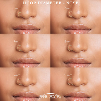 20G Double Row Micro Gem Implant Grade Titanium Hinged Double Hoop Nose Ring BodyCandy