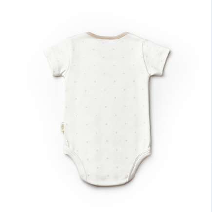 Teddy Ecru Short Sleeve Organic Cotton Honey and Hive