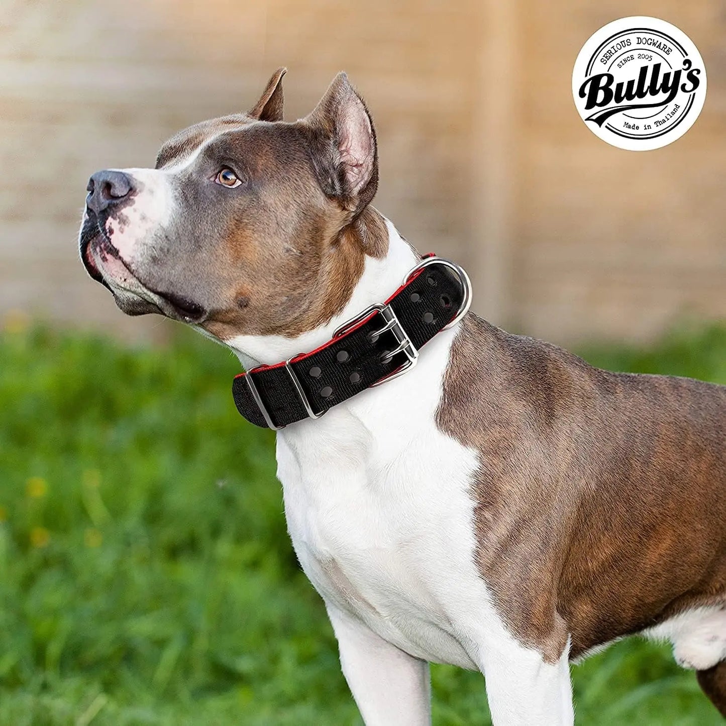 Ultimate Heavy Duty Pit Bull Dog Collar - Premium Nylon with Stainless Steel Hardware, Black & Red Trim (Medium, 2" Wide)