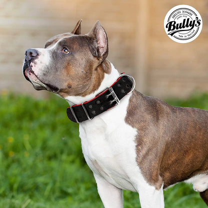 Ultimate Heavy Duty Pit Bull Dog Collar - Premium Nylon with Stainless Steel Hardware, Black & Red Trim (Medium, 2" Wide)