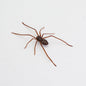 Plastic Spider as Decoration - Novelty Ornament