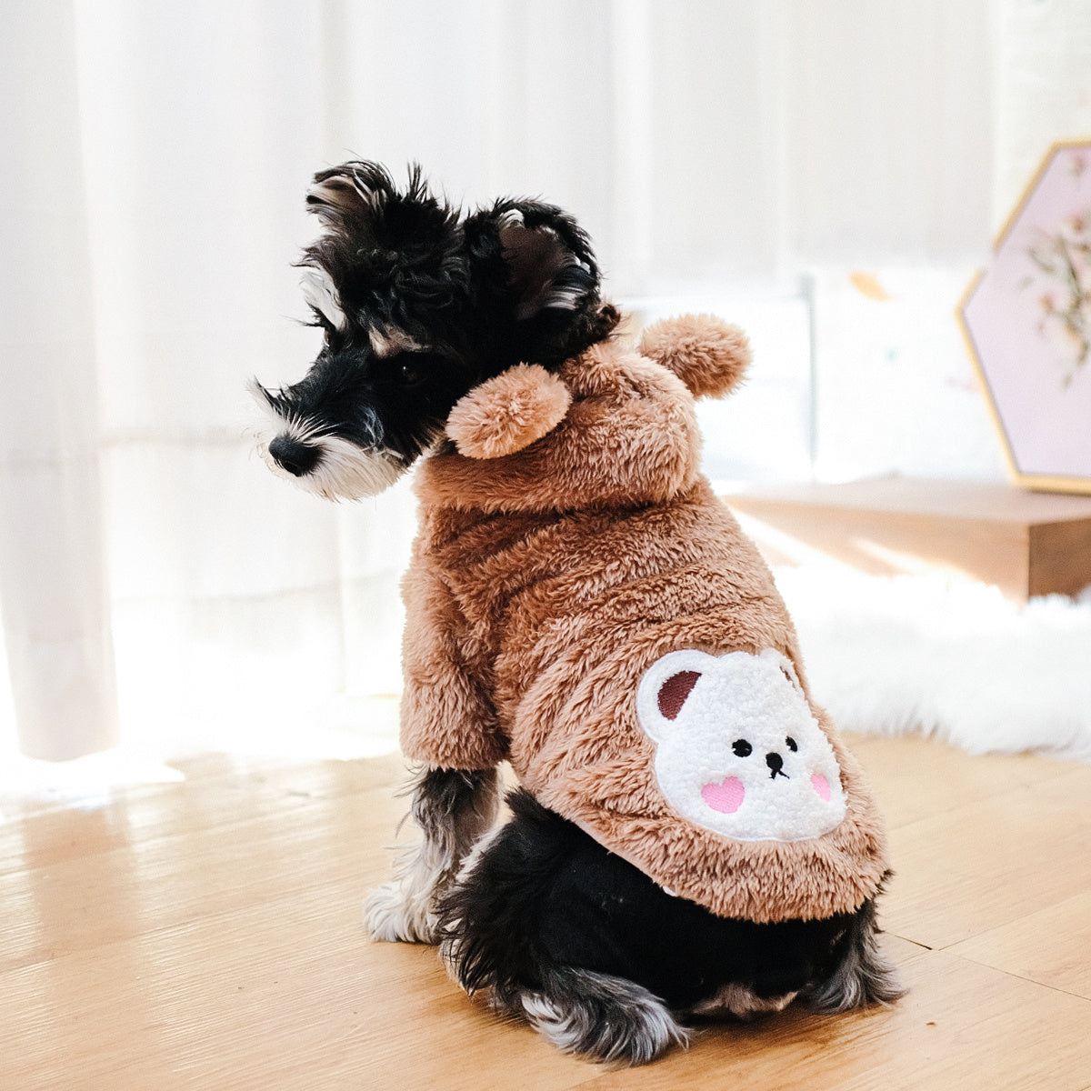 Pet Warm Teddy Bear Costume, Dog & Cat Pet Costumes NovaCart