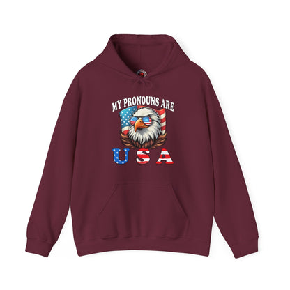 My Pronouns Are U.S.A Hooded Sweatshirt The Devil's Pickle