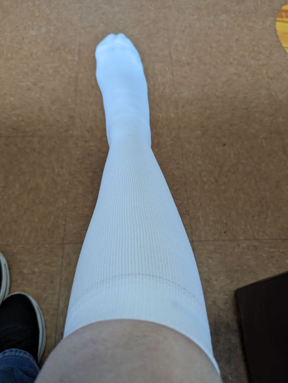 Women's Over The Calf Compression Stocking Socks (1 Pair) DSC