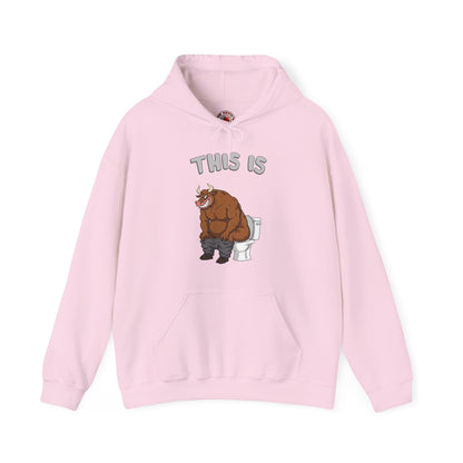 This Is Bullshit Hooded Sweatshirt The Devil's Pickle
