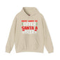 Most Likely To Offer Santa A Beer Hooded Sweatshirt The Devil's Pickle