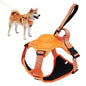 Dog Harness and Automatic Retractable Leash Kit ViralGalleria.com