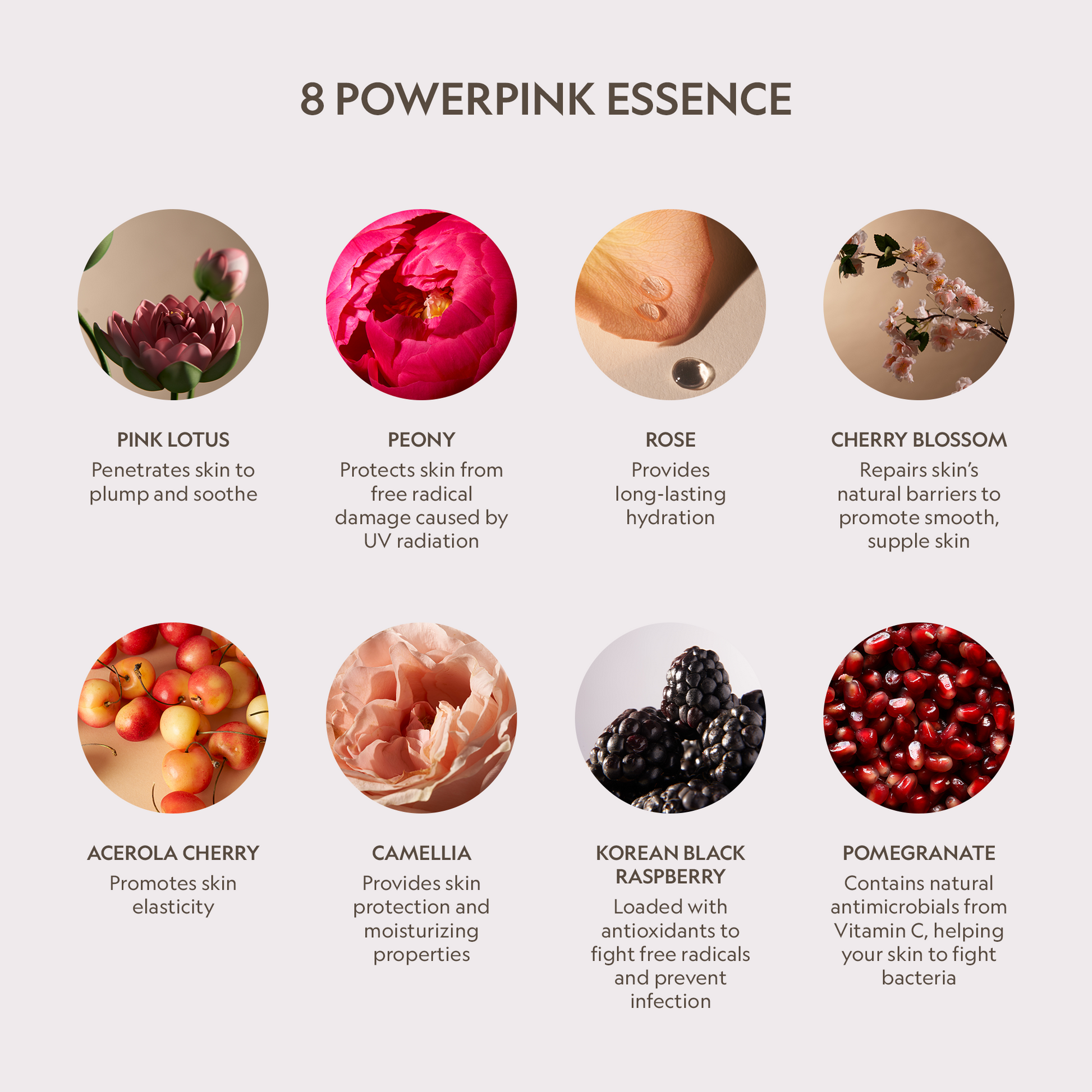 Pink Lotus Peptide Renewal Face Cream YENSA